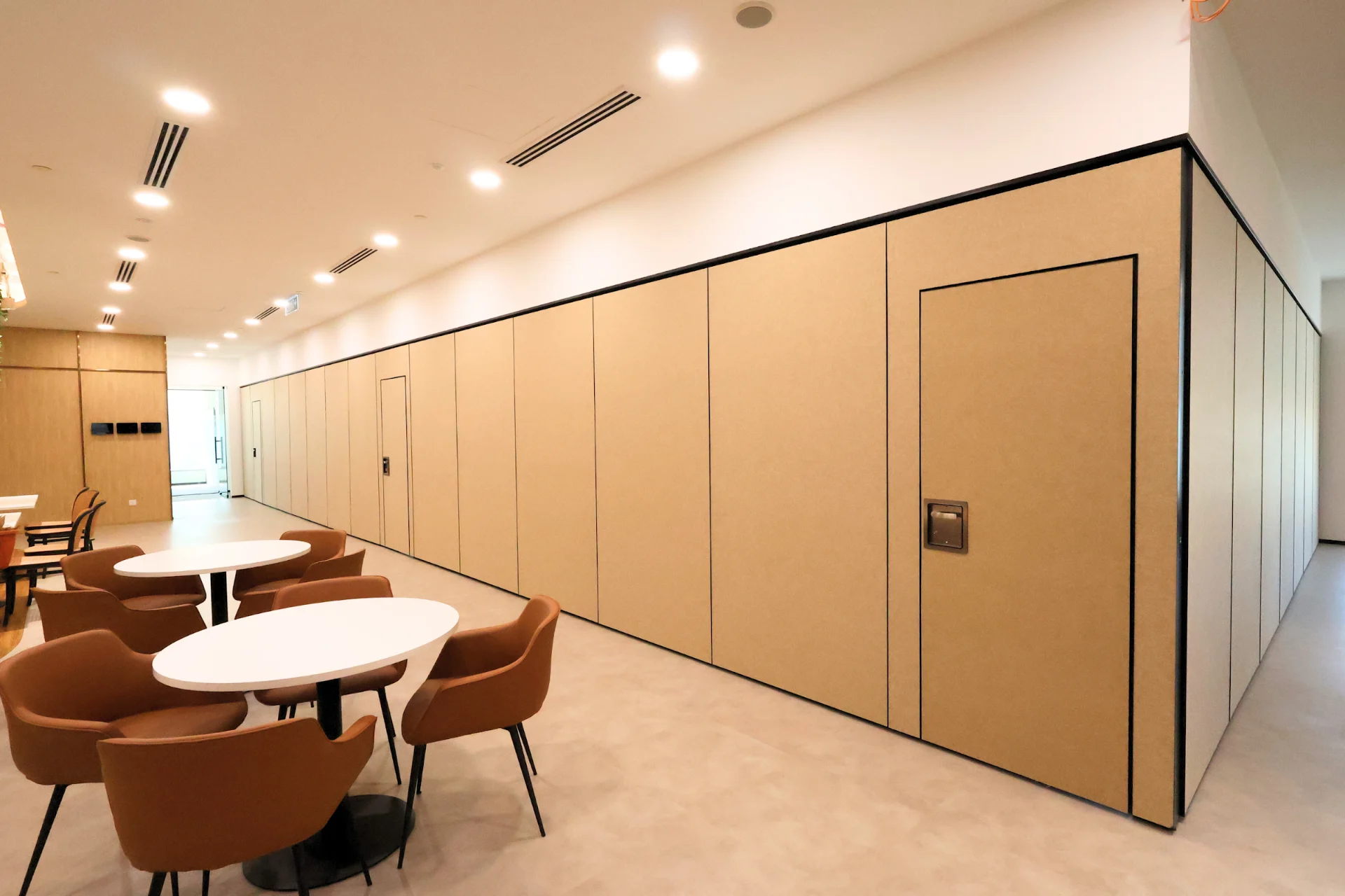 IWC BOZ solid operable wall with pass door in an office